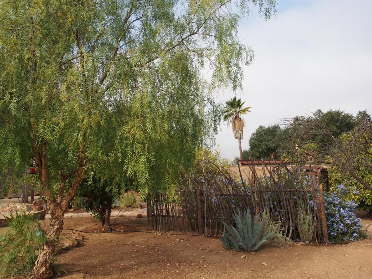Casa Mayoral B&B Pet Friendly Valle de Guadalupe Exterior photo