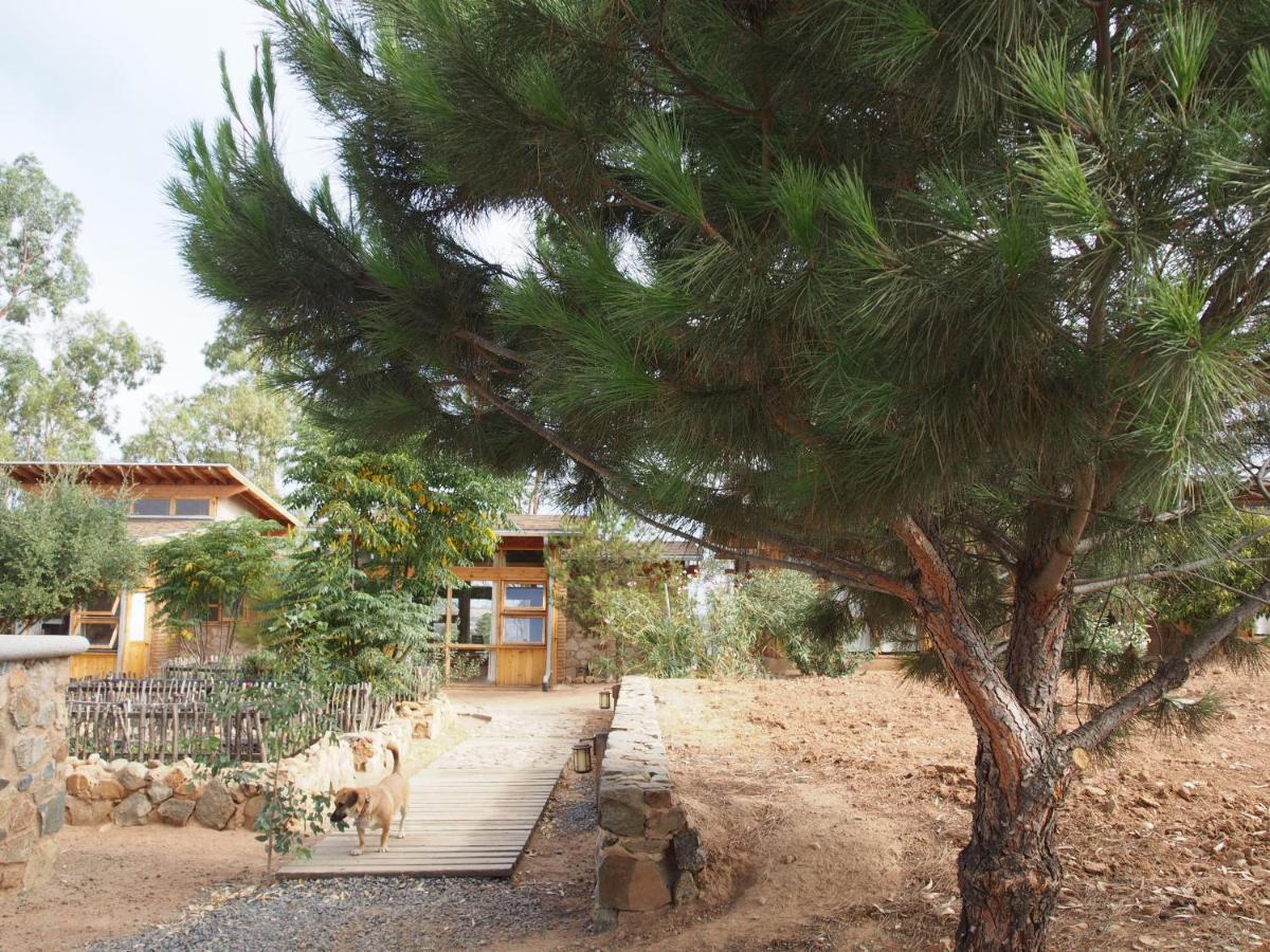 Casa Mayoral B&B Pet Friendly Valle de Guadalupe Exterior photo