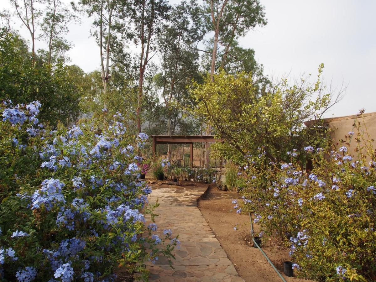 Casa Mayoral B&B Pet Friendly Valle de Guadalupe Exterior photo