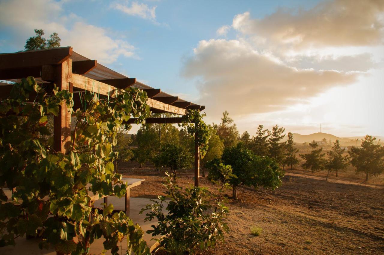 Casa Mayoral B&B Pet Friendly Valle de Guadalupe Exterior photo