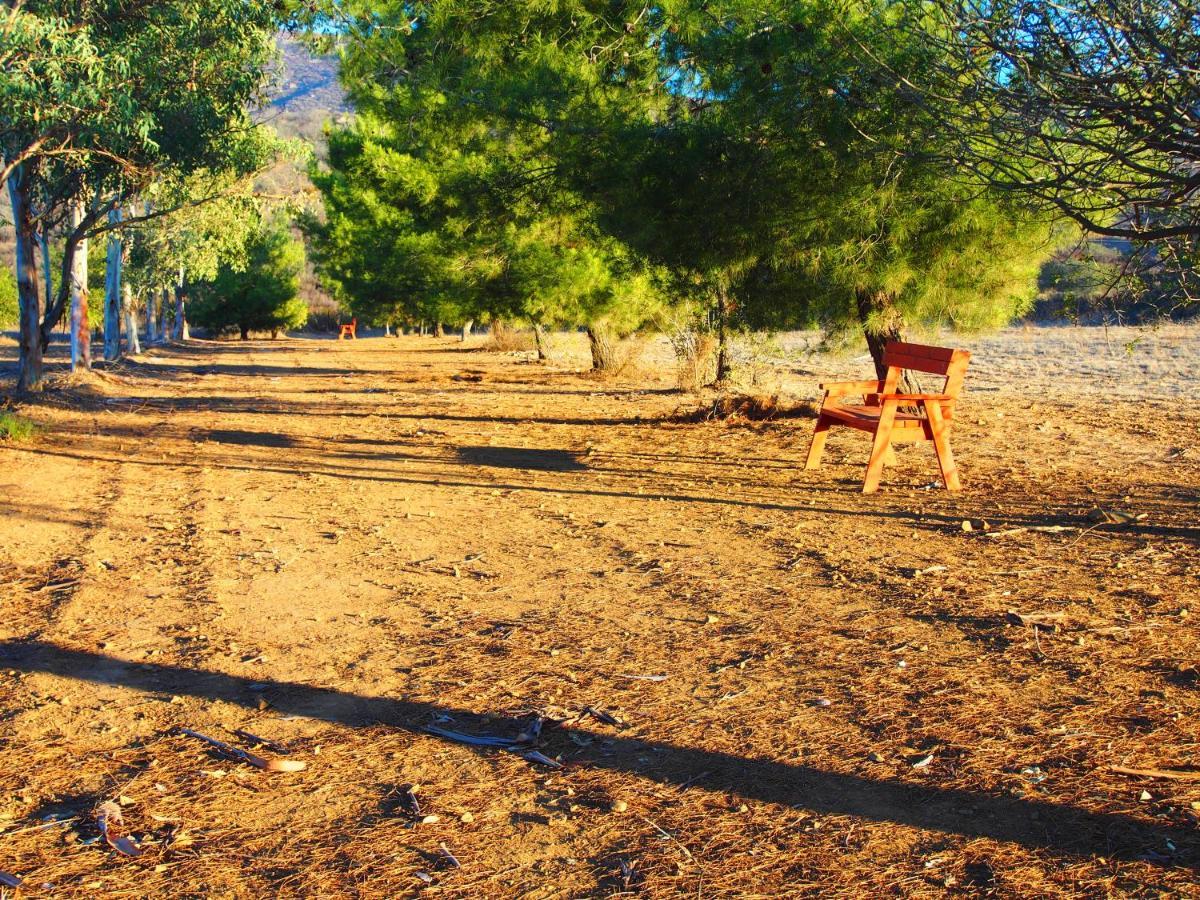 Casa Mayoral B&B Pet Friendly Valle de Guadalupe Exterior photo