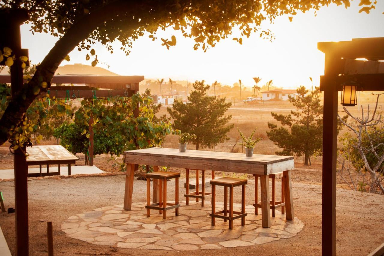 Casa Mayoral B&B Pet Friendly Valle de Guadalupe Exterior photo