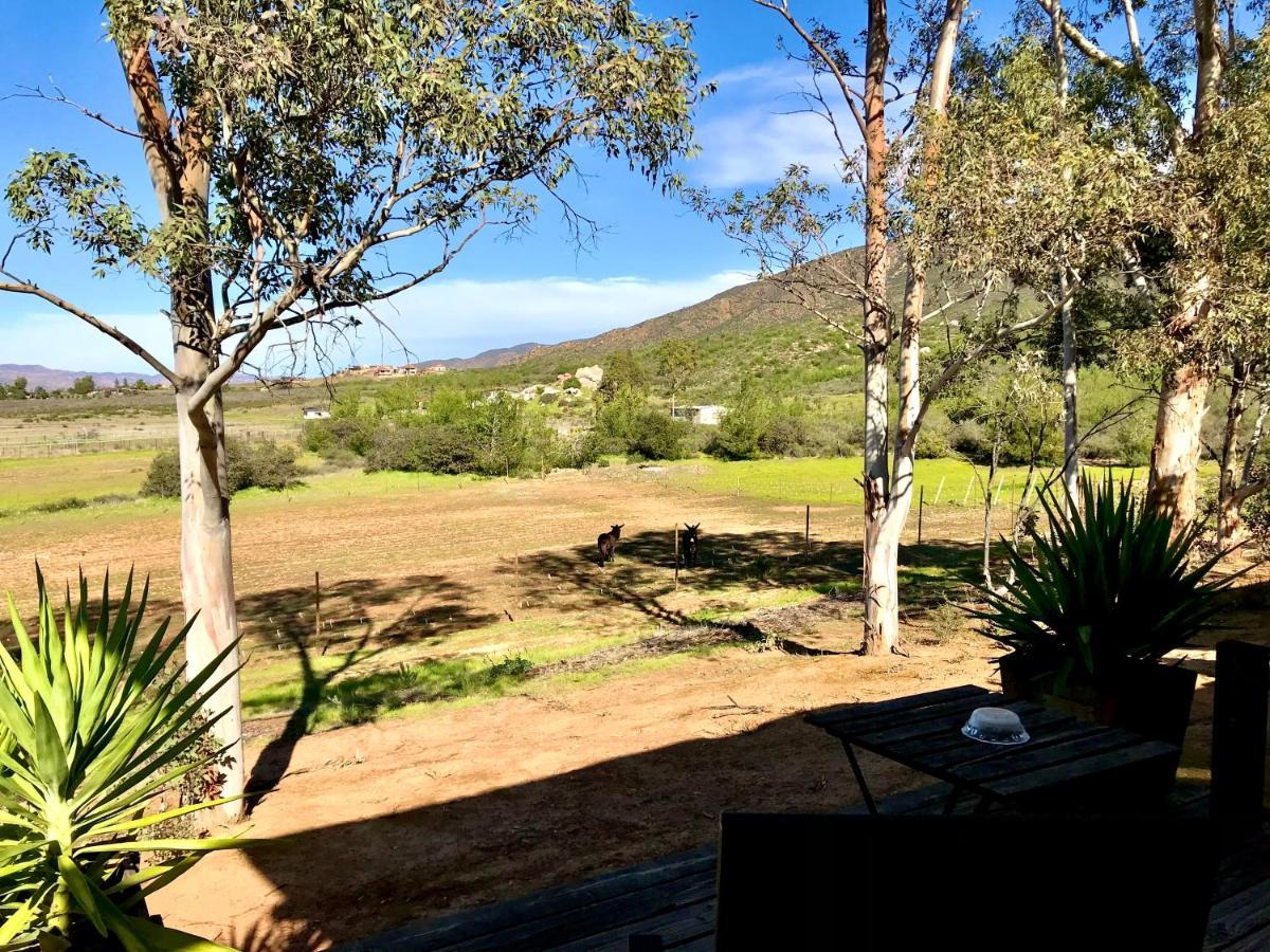 Casa Mayoral B&B Pet Friendly Valle de Guadalupe Exterior photo
