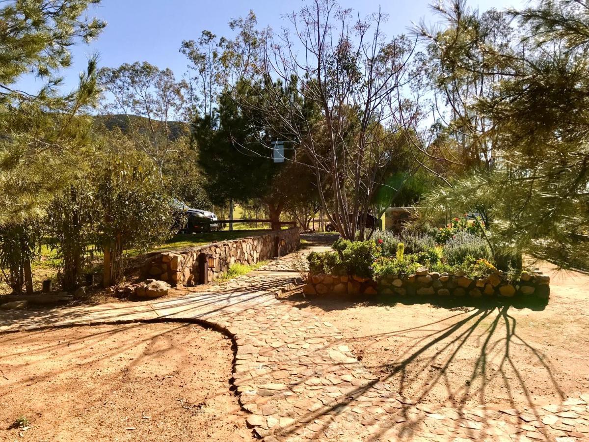 Casa Mayoral B&B Pet Friendly Valle de Guadalupe Exterior photo
