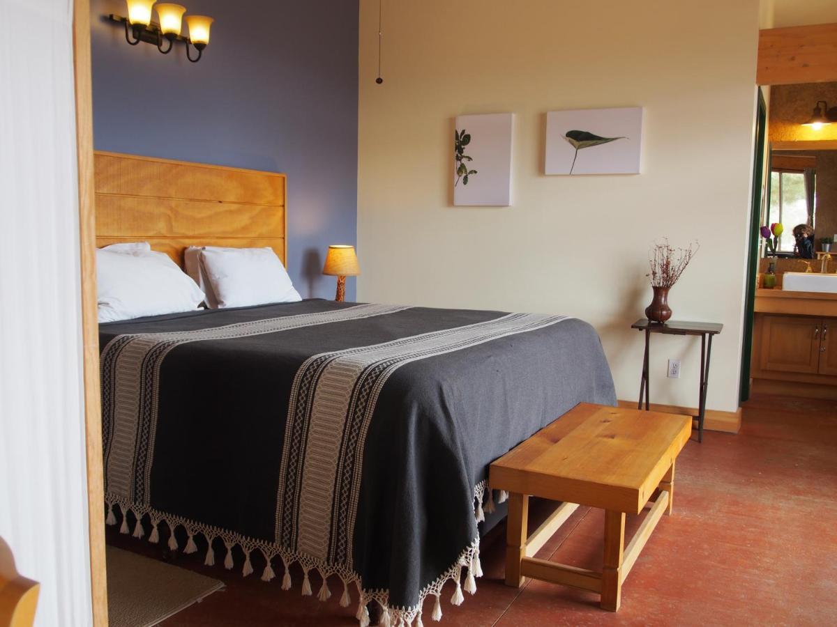 Casa Mayoral B&B Pet Friendly Valle de Guadalupe Exterior photo